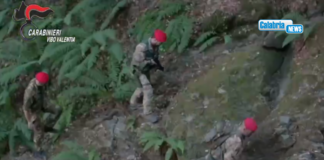 Blitz dei Carabinieri nel vibonese, 15 arresti per la faida fra le ‘ndrine Loielo ed Emanuele