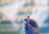 Da vaccini ad antibiotici contro super batteri, intelligenza artificiale rivoluziona la farmaceutica