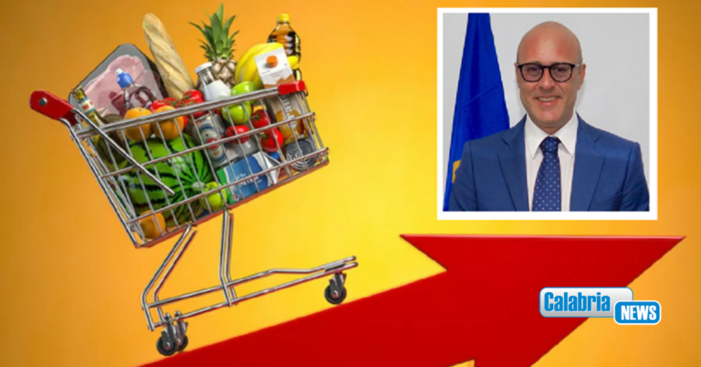 Guzzi (Unilavoro Pmi): Rincari 2026, energia e alimentari mettono in difficoltà le famiglie italiane