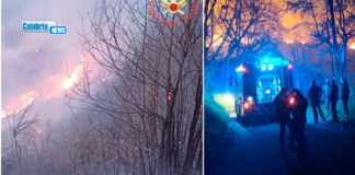 VIDEO-Vasta area boscata in fiamme tra Martirano Antico e Conflenti: VVFF impegnati da ore