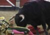 Il toro incorna e uccide il torero, lo choc in Spagna