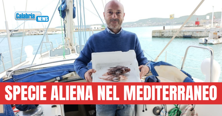 Circolo IBIS: due esemplari di pesce leone catturati nelle acque antistanti Crotone