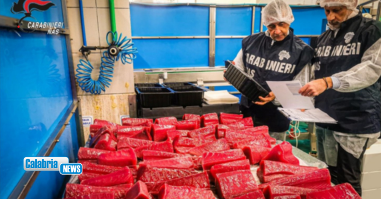 NAS sequestrano 15 Kg di prodotti ittici privi di tracciabilità in una pescheria di Catanzaro