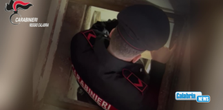 VIDEO-Bunker segreto con armi e munizioni scoperto nelle campagne di Palmi: un arresto