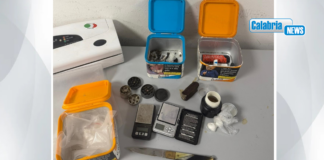 Detenzione e spaccio di sostanze stupefacenti: Polizia arresta un soggetto nel Cosentino