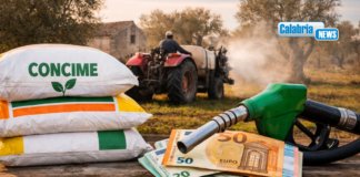 Coldiretti, agricoltura sotto attacco: la guerra fa schizzare i costi fino a 200 euro a ettaro