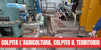 Coldiretti Calabria: atto criminale gravissimo contro l’impianto irriguo di Reggio Ovest a Rosarno