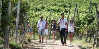 Turismo, UniCredit-Nomisma Wine Monitor: da quello del vino 3 miliardi di valore per cantine