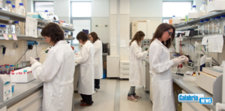 Qualità Ricerca scientifica: il sistema universitario calabrese si conferma ai vertici nazionali