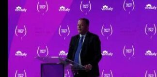 Vino, Bricolo (Veronafiere): “Asset a sostegno dell’export, a fianco delle aziende”