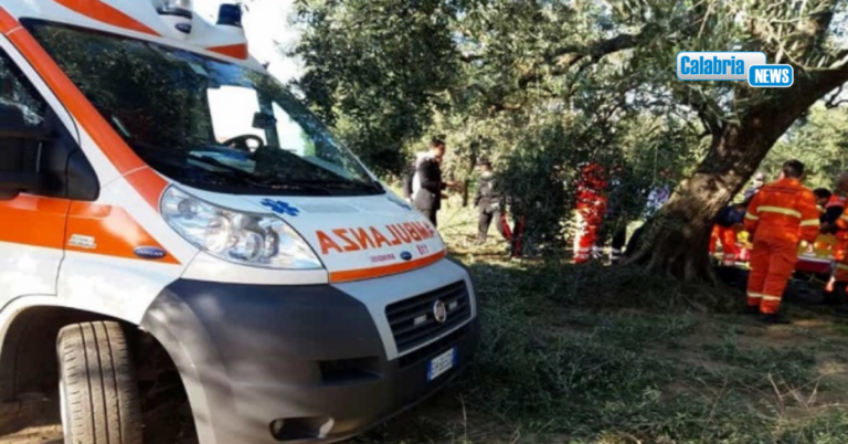 Dolore e sgomento a Polistena, bimba di 5 anni muore travolta dal trattore guidato dal padre