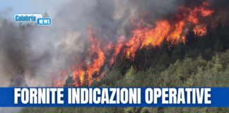 Prevenzione contro gli incendi boschivi, direttiva della Prefettura di Catanzaro ai Comuni
