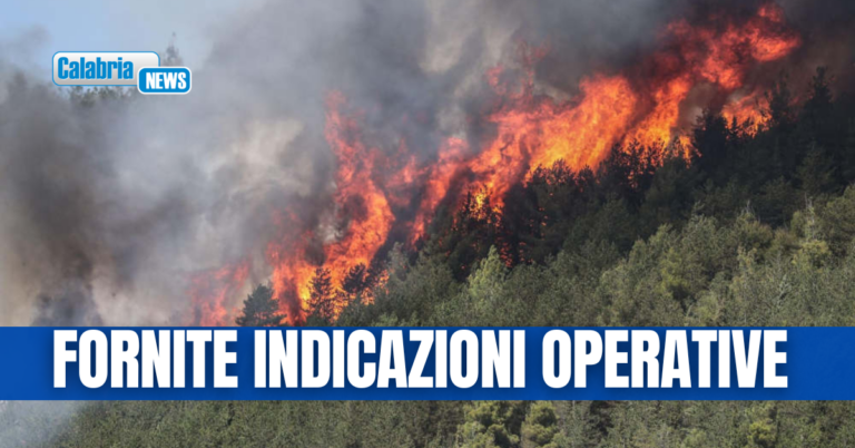 Prevenzione contro gli incendi boschivi, direttiva della Prefettura di Catanzaro ai Comuni