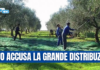 Coldiretti Calabria, aziende costrette a vendere sottocosto olio extravergine