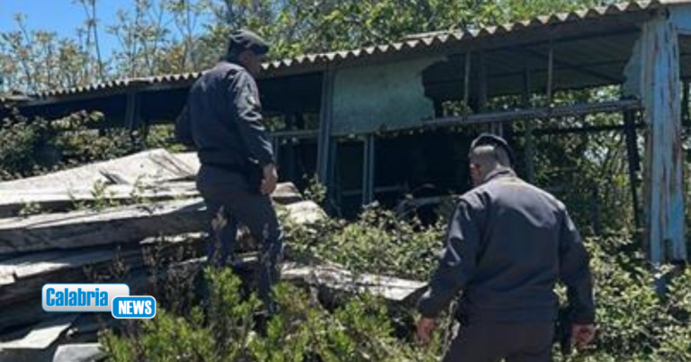Amantea, sequestrata area con oltre mille metri quadri di coperture in amianto