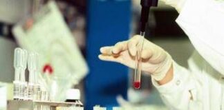 Antrace, vaiolo e virus ‘zombie’: l’indagine sui rischi nascosti nel ghiaccio da migliaia di anni