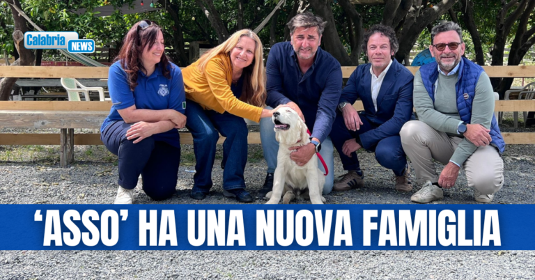 Legambiente Calabria ed Enci donano cucciolo per la pet therapy ad “Equipariamo” di Catanzaro
