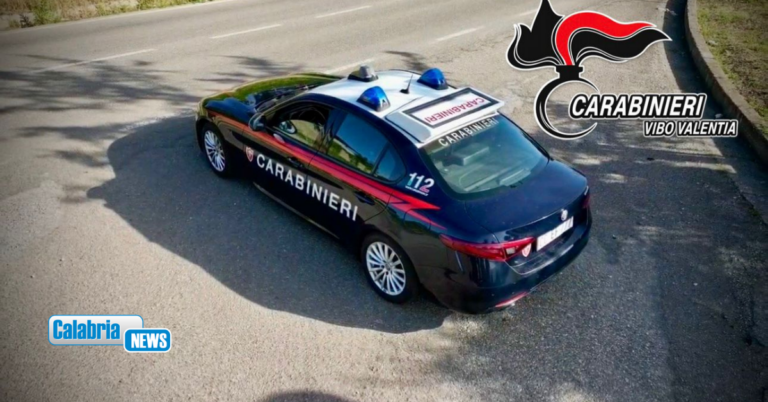 Sant’Onofrio, trasporto illecito di rifiuti speciali: sequestrati autocarro e materiale edile