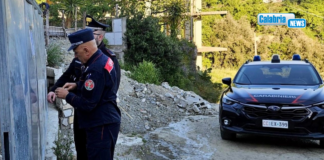 Zagarise, abusivismo edilizio e violazione sigilli nel Parco Nazionale della Sila: 35enne denunciato