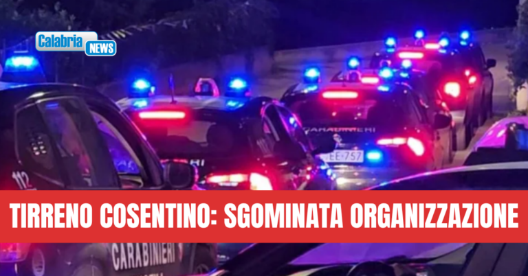 Droga ed estorsioni: eseguite 14 misure cautelari tra Calabria, Campania, Sicilia ed Emilia Romagna