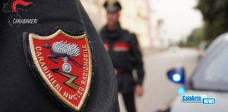 Crotone: 10 misure cautelari per associazione a delinquere, truffa e riciclaggio