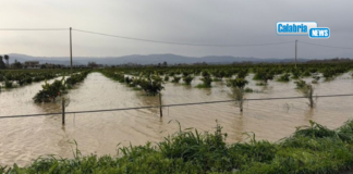 Maltempo, firmati decreti per il riconoscimento anche in Calabria dell’eccezionalità del ciclone “Harry”