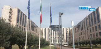 Hantavirus, Regione Calabria attiva procedure sorveglianza dopo comunicazione Ministero Salute