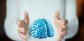 Congelare l’ictus, la promessa del mix di farmaci per ridurre i danni al cervello