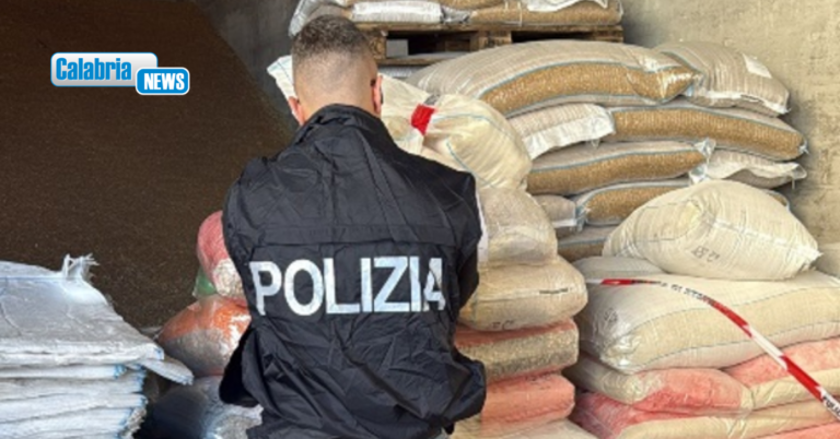 Blitz interforze ‘Focus ‘Ndrangheta’ a Cutro: sanzioni e sequestrati anche prodotti alimentari