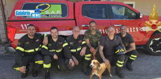 Nel Cosentino cade in dirupo per recuperare il suo cane: Raggiunto e soccorso dai Vigili del fuoco