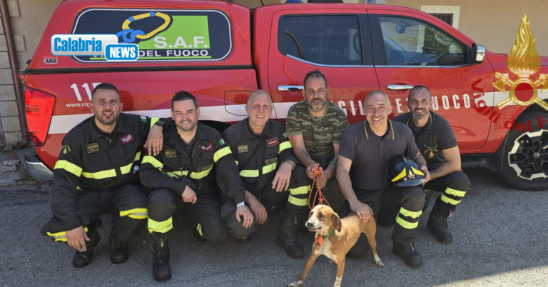 Nel Cosentino cade in dirupo per recuperare il suo cane: Raggiunto e soccorso dai Vigili del fuoco