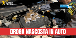 Oltre 8 Gk di hashish sequestrati nel Cosentino, valore di 100mila euro: corriere arrestato