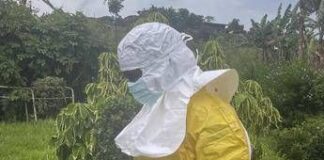 Ebola, il report e l’allarme: “I casi reali potrebbero essere il doppio”
