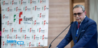 Turismo, Fiavet Calabria: incertezza nel comparto aereo ma non cedere a facili allarmismi