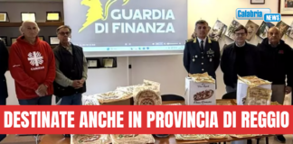 Cinquemila false pizze precotte ‘Made in Italy’ sequestrate nel nord Barese