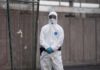 Hantavirus, l’esperta: “Più letale ma diverso da Covid, non si rischia nuova pandemia”