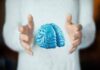Imparare ad essere altruisti, così il cervello costruisce i comportamenti sociali