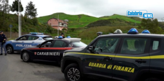 “Focus ‘Ndrangheta”, blitz interforze a Cirò Marina e Crucoli: raffica di controlli, denunce e maxi sanzioni