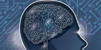 L’AI fa ‘copia e incolla’ dal cervello umano, così impara: la strategia della Statale di Milano