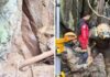 Laos, trovati vivi 5 dei 7 minatori intrappolati in una grotta allagata: proseguono le ricerche