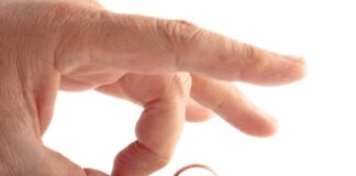 Matrimoni, Eurispes: divorziati over 50 triplicati tra 2008 e 2022