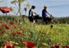 Medicina personalizzata, in bici sulla via Francigena per prevenzione e ricerca contro il cancro