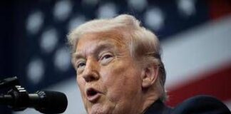 Nigeria, Trump: “Eliminato numero 2 dell’Isis a livello globale”. Chi era al-Minuki