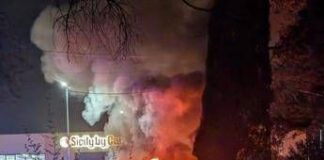 Palermo, incendio in azienda di noleggio auto: a fuoco una decina di mezzi
