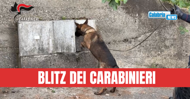 VIDEO-Pentone, il fiuto del cane “Manco” scova la droga nascosta in alcuni contatori dell’acqua