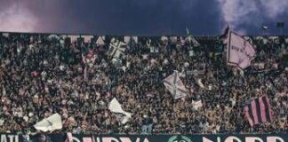 Petardi in campo, rissa e ospiti scortati fuori: caos in Palermo-Catanzaro