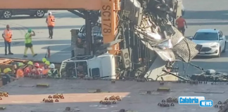 Incidente sul lavoro al porto di Gioia Tauro: si ribalta una gru di grosse dimensioni, ferito un operaio