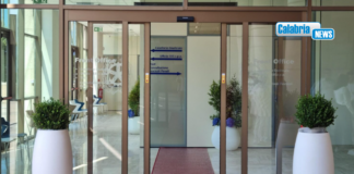 Processo ‘Millennium’ a Reggio, prosciolto Matteo Costanza: “Non ha commesso il fatto”
