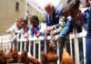 Reali e pollai, Carlo e Meghan: “I know my chickens”