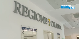 Hantavirus, Regione Calabria: cabina di regia per attività di prevenzione, sorveglianza e gestione casi